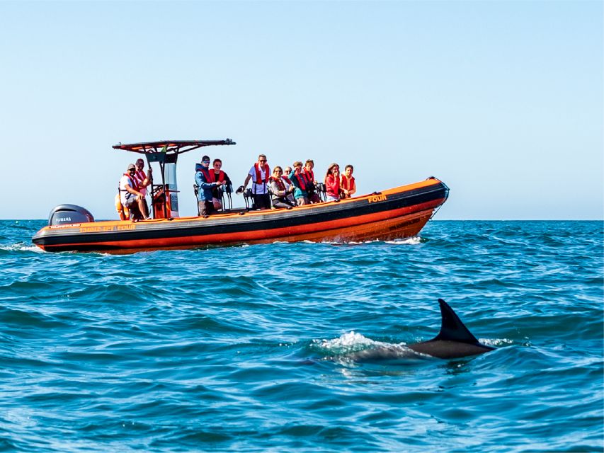 Cascais: Dolphin Watching Tour - Who Should Book This Boat Trip?