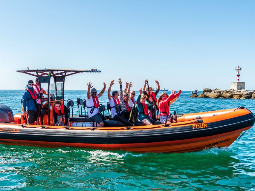 Cascais: Dolphin Watching Tour - What to Bring and What to Skip
