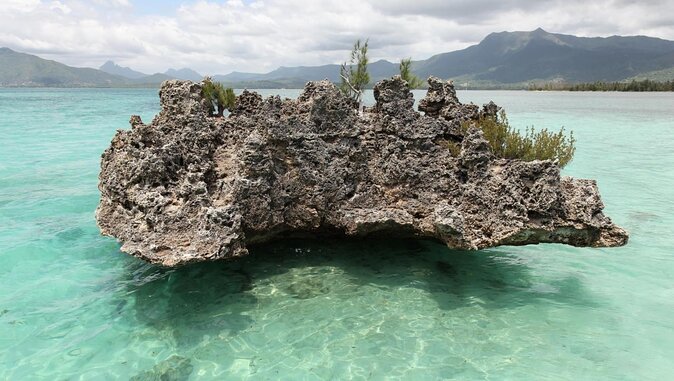 Catamaran Cruise to Ile Aux Bénitiers: Dolphin watch, Crystal Rock & Transfer - Key points before you book