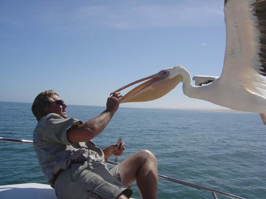 Catamaran Dolphin Cruise and Sandwich Harbour Tour - From Swakopmund to Walvis Bay’s working coast