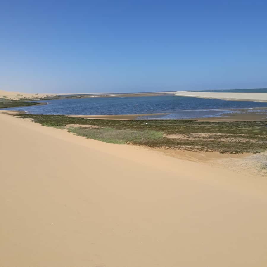 Catamaran Dolphin Cruise and Sandwich Harbour Tour - The Walvis Bay Lagoon wetlands and pink salt lakes