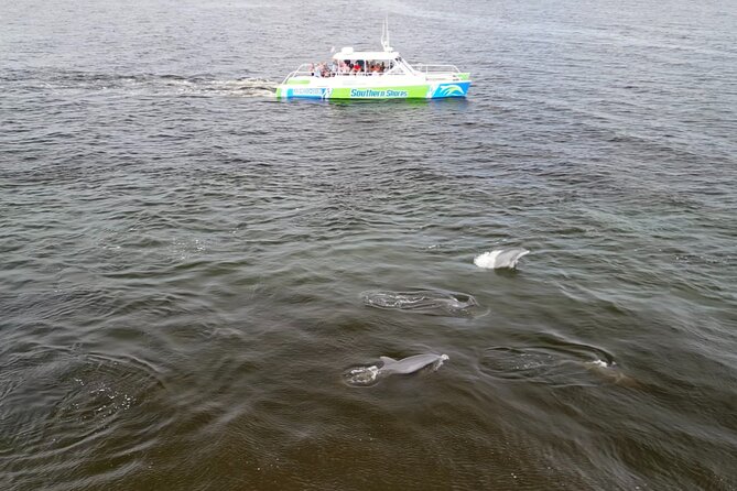 Catamaran Dolphin Cruise in Myrtle Beach with Barrier Island Stop - Bird Island and 15 minutes on the sand