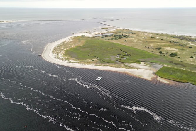 Catamaran Dolphin Cruise in Myrtle Beach with Barrier Island Stop - The crew shapes the mood