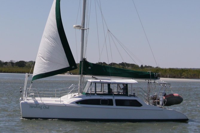 Catamaran Sailing Dolphin/Manatee Watch in Daytona Beach - Key points to know before booking