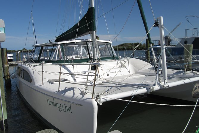 Catamaran Sailing Dolphin/Manatee Watch in Daytona Beach - Captain Randy and the small crew