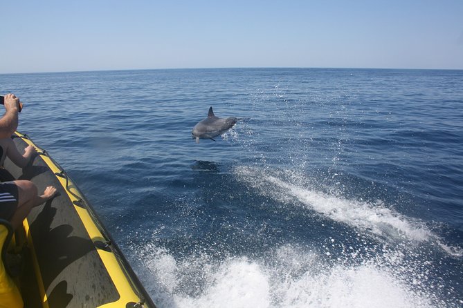 Caves and Dolphin Watching Cruise from Albufeira - Leaving Albufeira Marina on the Dream Wave boat