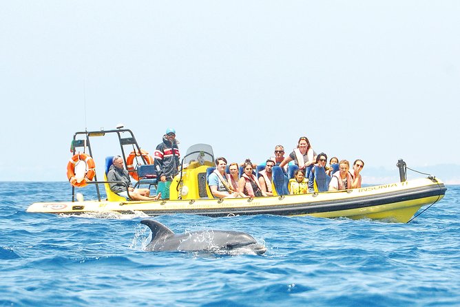 Caves and Dolphin Watching Cruise from Albufeira - Dream Wave and the first coastal views