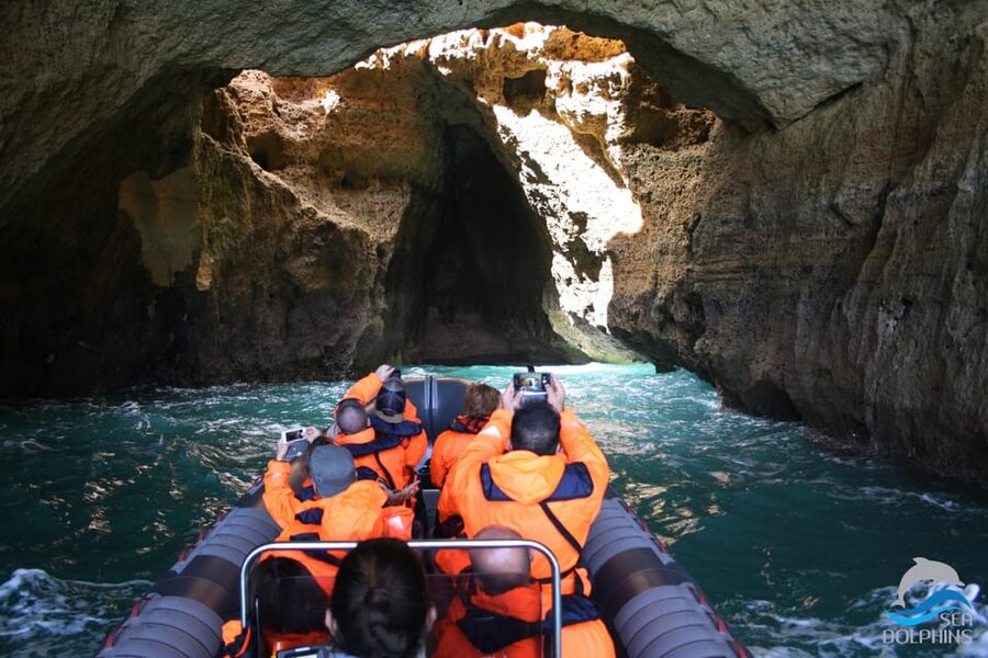 Caves & Dolphins - Combined Trip - Why combining dolphins and Benagil works so well