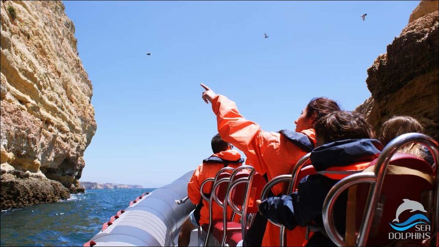 Caves & Dolphins - Combined Trip - What the 2.5-hour schedule means for you