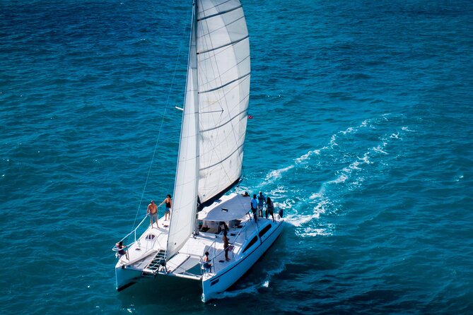 Champagne Dolphin Sail and Reef Snorkel - Key points at a glance