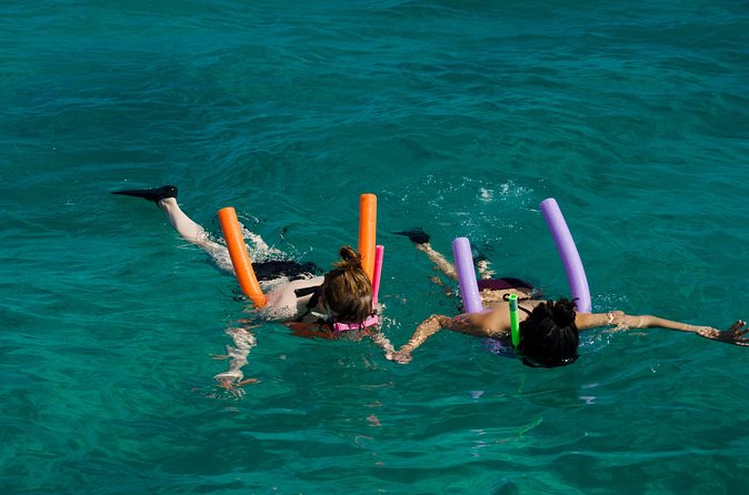 Champagne Dolphin Sail and Reef Snorkel - Who will enjoy this most