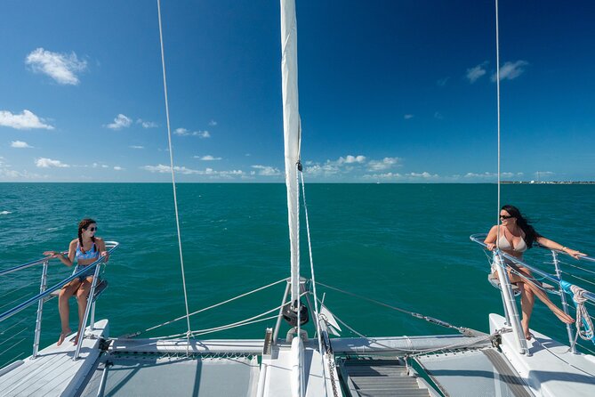 Champagne Dolphin Sail and Reef Snorkel - What the coral reef stop adds