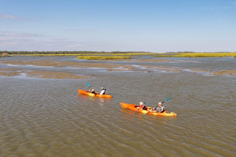 Charleston: Folly Beach Afternoon Kayak Dolphin Safari - What the $55 price includes
