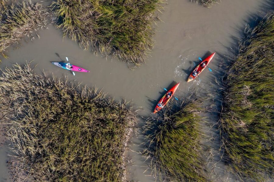 Charleston: Folly Beach Afternoon Kayak Dolphin Safari - A patient guide matters for first-time paddlers