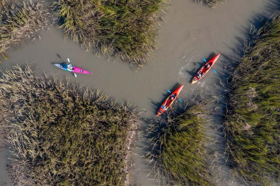 Charleston: Folly Beach Morning Kayak Dolphin Safari - Key points to know before booking