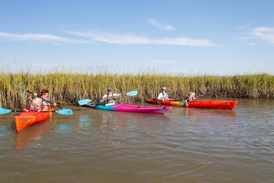 Charleston: Folly Beach Morning Kayak Dolphin Safari - Starting near Hotel Folly on Folly Beach