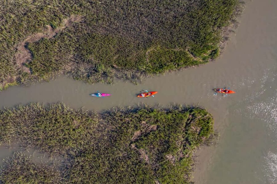 Charleston: Folly Beach Morning Kayak Dolphin Safari - Looking for bottlenose dolphins