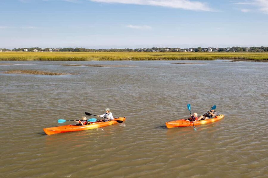 Charleston: Folly Beach Morning Kayak Dolphin Safari - What makes the guides useful