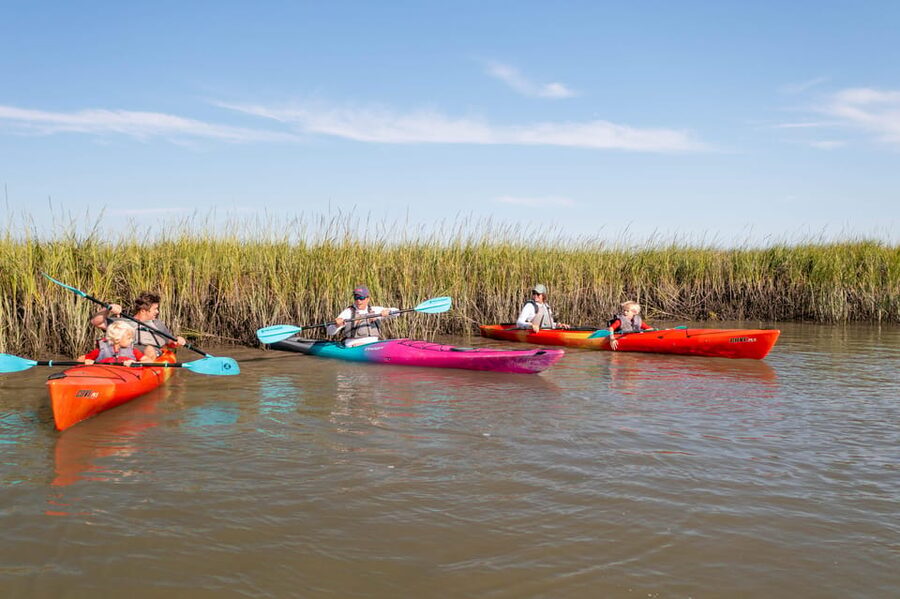 Charleston: Folly Beach Morning Kayak Dolphin Safari - Who should book this Folly Beach outing