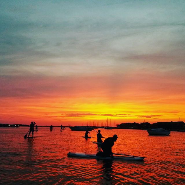 Charleston: Folly Beach Stand Up Paddleboard Dolphin Safari - Learning to stand before looking for dolphins