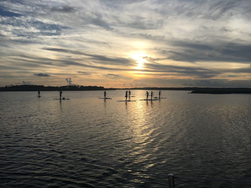 Charleston: Folly Beach Stand Up Paddleboard Dolphin Safari - Should you book the dolphin safari?