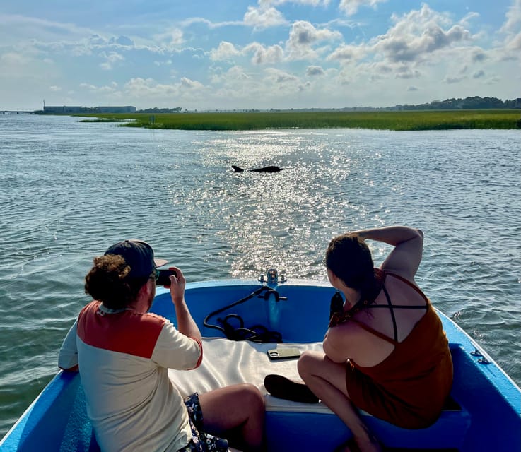 Charleston: Morris Island Dolphin Cruise with Beachcombing - Who should book this experience
