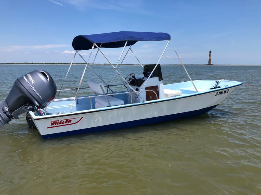 Charleston: Morris Island Dolphin Cruise with Beachcombing - Why this two-hour outing works so well