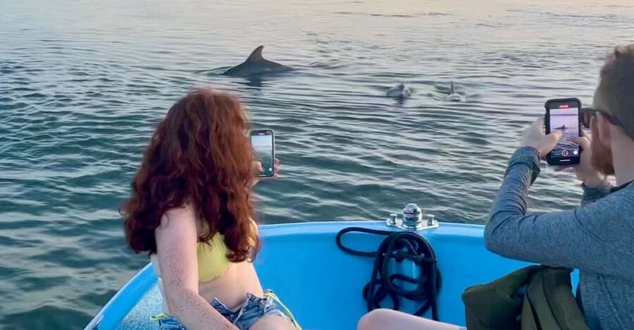 Charleston: Morris Island Dolphin Cruise with Beachcombing - Cruising through Folly Island’s salt marsh creeks