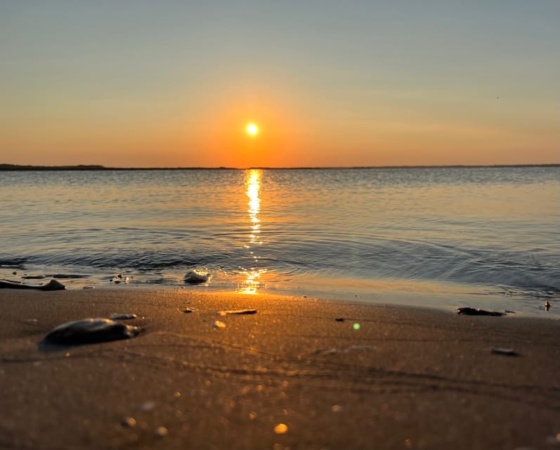 Charleston: Morris Island Dolphin Cruise with Beachcombing - A private boat changes the rhythm