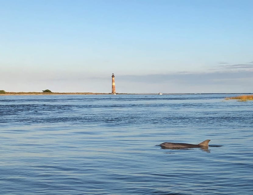 Charleston: Morris Island Dolphin Cruise with Beachcombing - What the $105 price includes