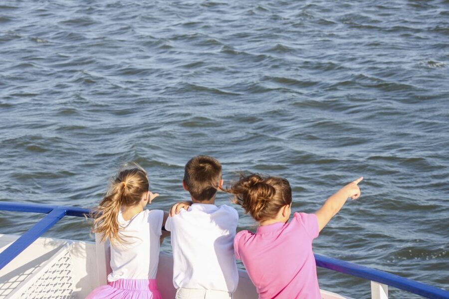 Charleston: Sightseeing Harbor Tour & Dolphin Watch - The chance to see dolphins