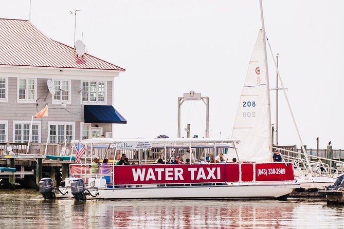 Charleston Water Taxi Cruise with Dolphin Sighting - Dolphin sightings and what the ride feels like