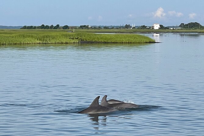 Chincoteague Dolphin Watching Boat Tour - John adds local context along the way