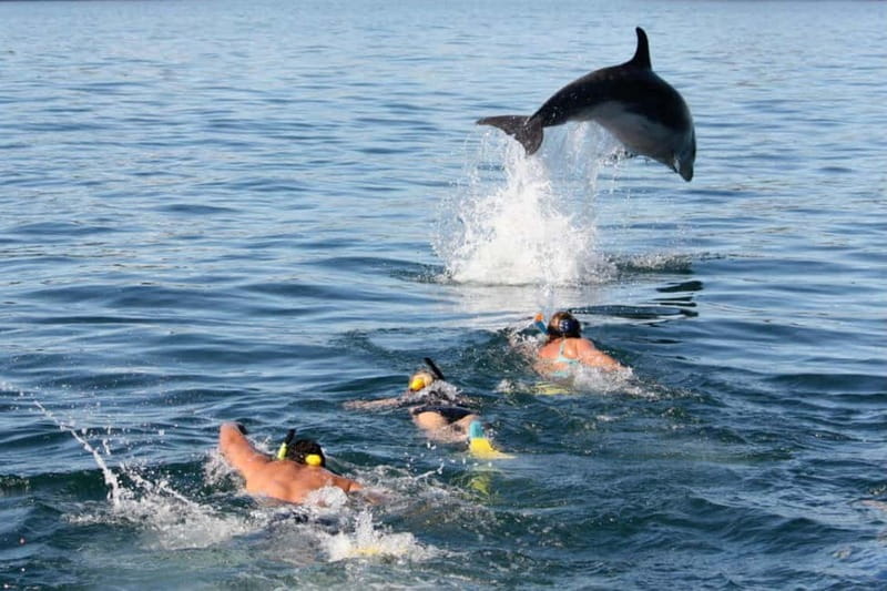 City Of Side: Dolphin Island Boat or Side Boat Tour Options - Key points to know before you book