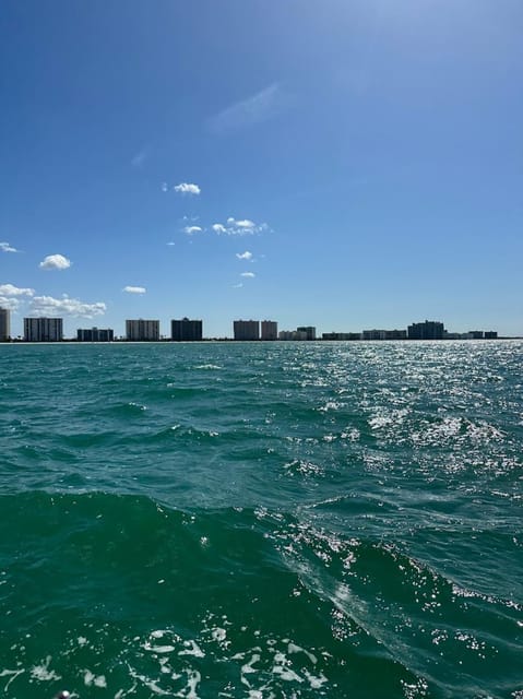 Clearwater: 1 Hour Jetski Dolphin Tour with Guide - Should You Book the Clearwater Jet Ski Tour?