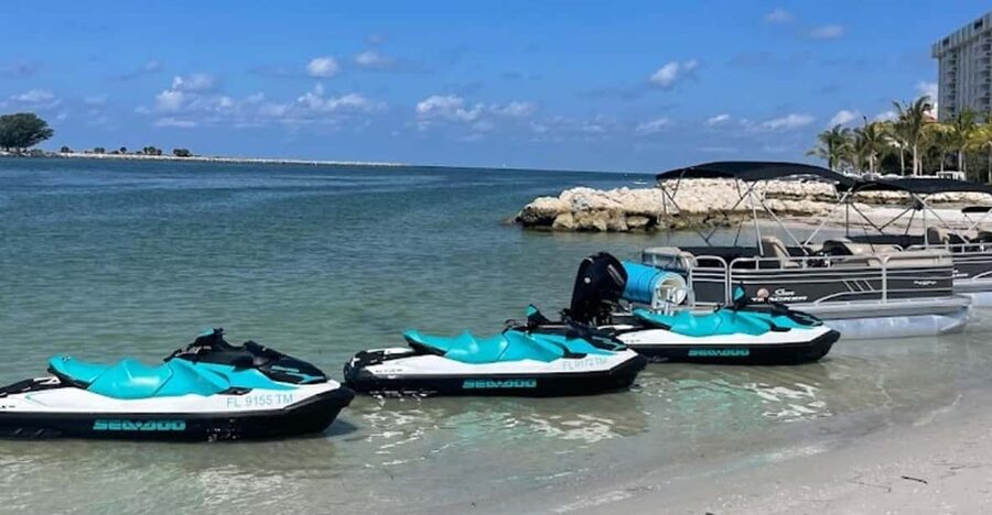 Clearwater: 1 Hour Jetski Dolphin Tour with Guide - Who Will Enjoy This Jet Ski Tour Most