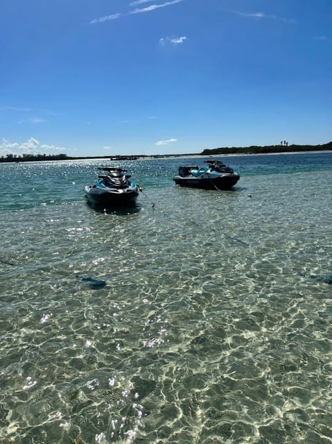 Clearwater: 1 Hour Jetski Dolphin Tour with Guide - The Service and Overall Feel