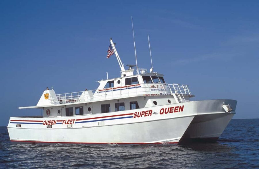 Clearwater Beach and Dolphin Cruise Day Trip from Orlando - Key points to know before you book