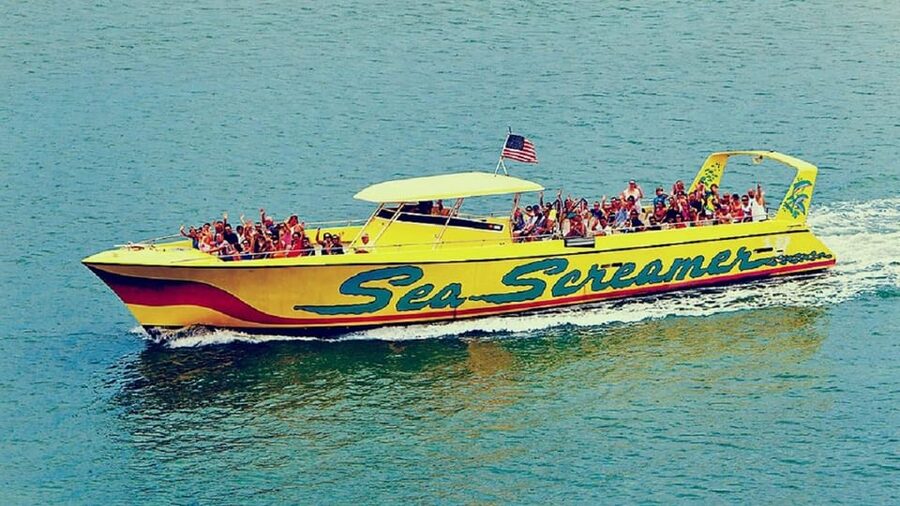 Clearwater Beach and Dolphin Cruise Day Trip from Orlando - Booking details worth checking