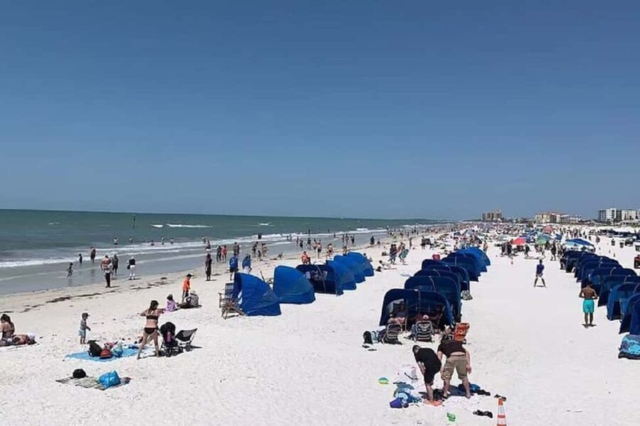 Clearwater Beach and Dolphin Cruise Day Trip from Orlando - Leaving Orlando between 8:00 and 9:00