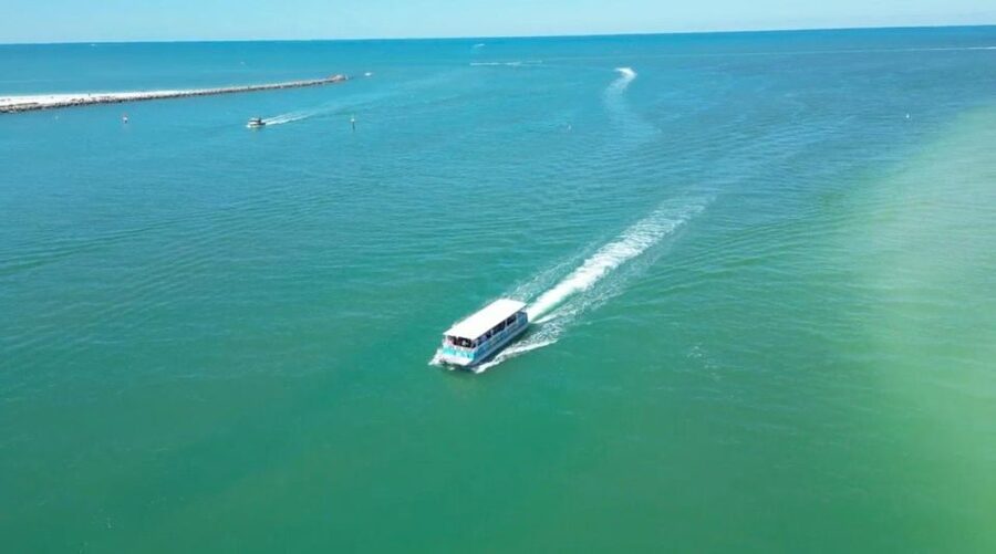 Clearwater Beach: Dolphin & Island Sandbar Cruise - Key points before you book