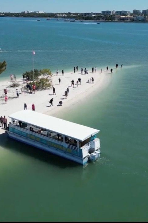 Clearwater Beach: Dolphin & Island Sandbar Cruise - Looking for dolphins in the Gulf