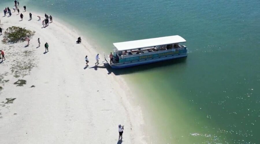 Clearwater Beach: Dolphin & Island Sandbar Cruise - Best for families, first-time visitors, and short stays