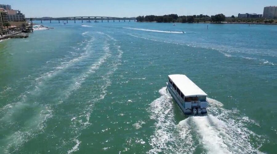 Clearwater Beach: Dolphin & Island Sandbar Cruise - Practical packing advice
