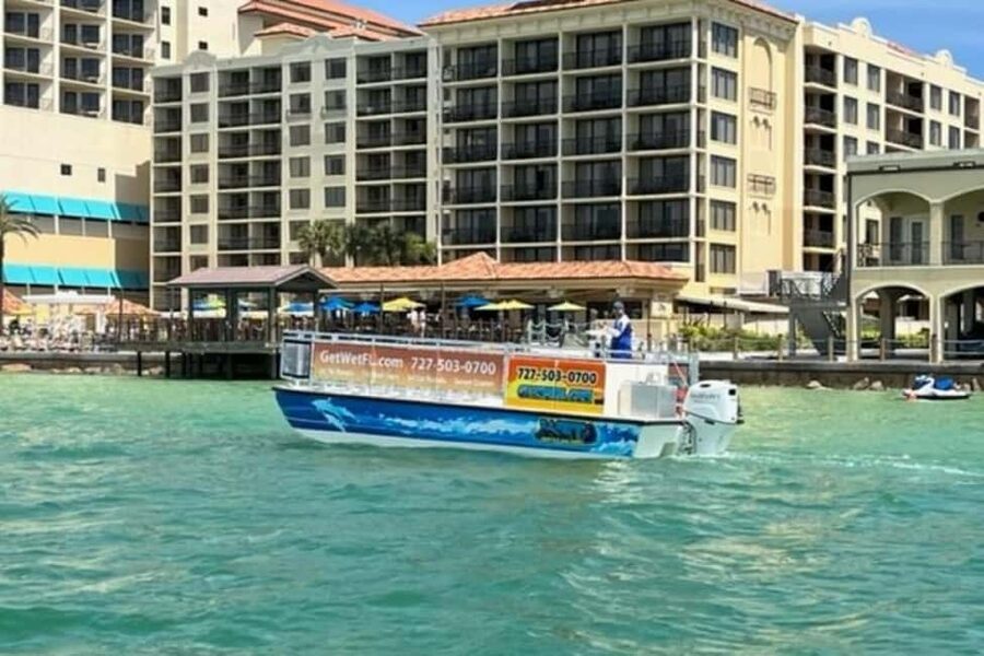 Clearwater Beach: Dolphin-Watching Sunset Cruise - A Clearwater sunset with dolphins in the mix