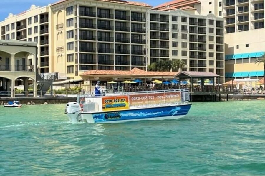 Clearwater Beach: Dolphin-Watching Sunset Cruise - What the 90 minutes feels like