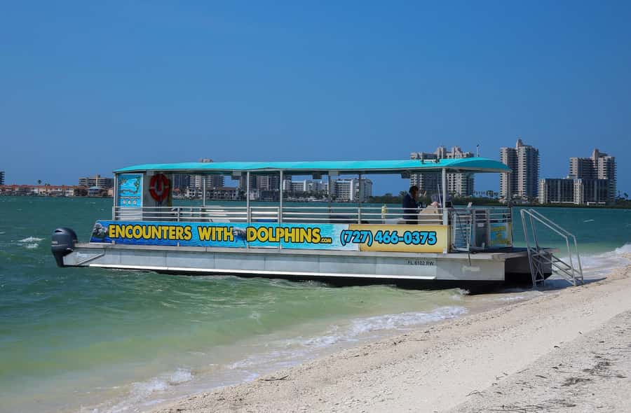 Clearwater: Dolphin Cruise with an Island Adventure - Dolphins first, but not dolphins only