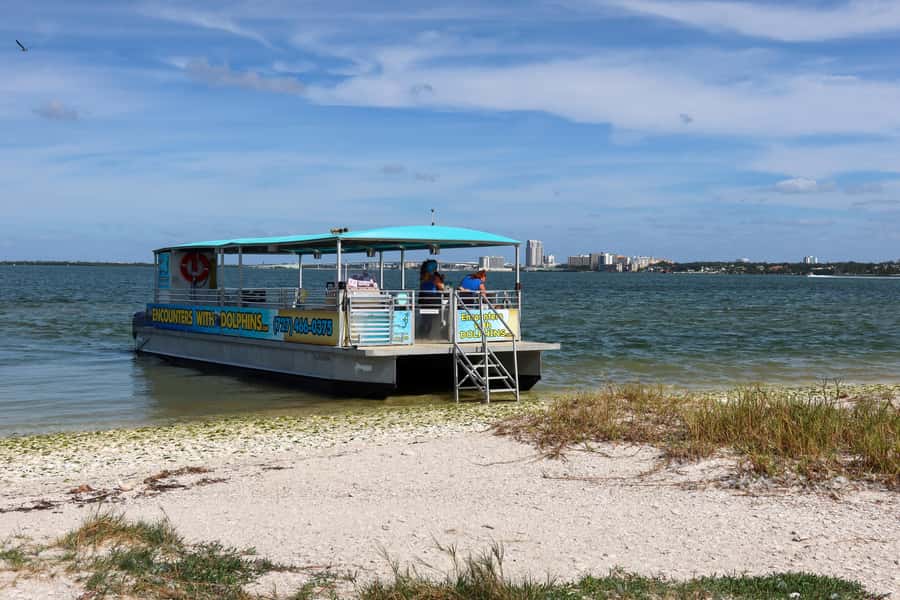 Clearwater: Dolphin Cruise with an Island Adventure - What the $36 price really buys