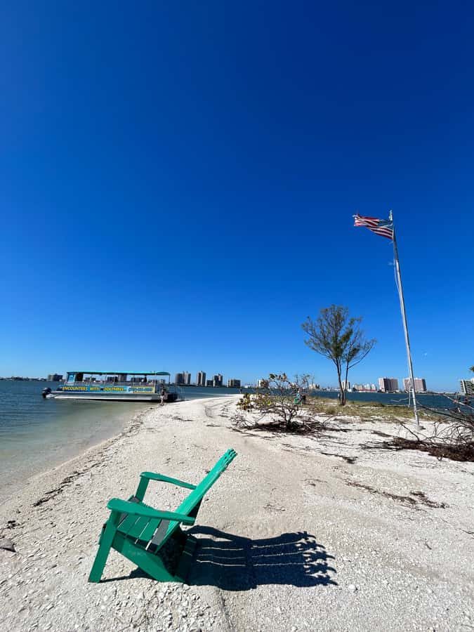 Clearwater: Dolphin Cruise with an Island Adventure - A short ride with a useful backup plan