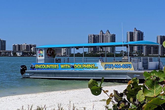 Clearwater Encounters with Dolphins Tour - A short Clearwater cruise with a real wildlife gamble